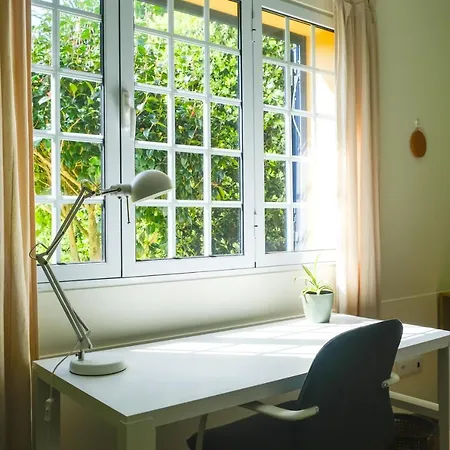 Lava Acores Coliving & Coworking Privat bolig Ribeira Grande