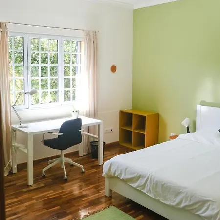 Lava Acores Coliving & Coworking Ribeira Grande
