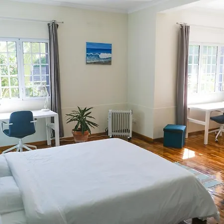 Lava Acores Coliving & Coworking Homestay Ribeira Grande