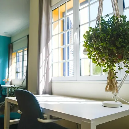 Lava Acores Coliving & Coworking Privat bolig Ribeira Grande