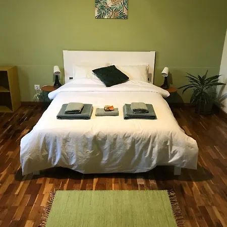 Lava Acores Coliving & Coworking * Ribeira Grande