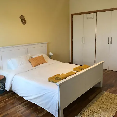Lava Acores Coliving & Coworking Homestay *