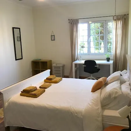 Lava Acores Coliving & Coworking Ribeira Grande