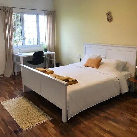 Lava Acores Coliving & Coworking Ribeira Grande