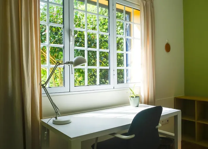 Lava Acores Coliving & Coworking 民宿 大里贝拉