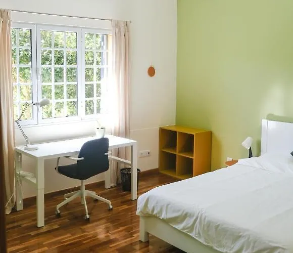 Lava Acores Coliving & Coworking 大里贝拉