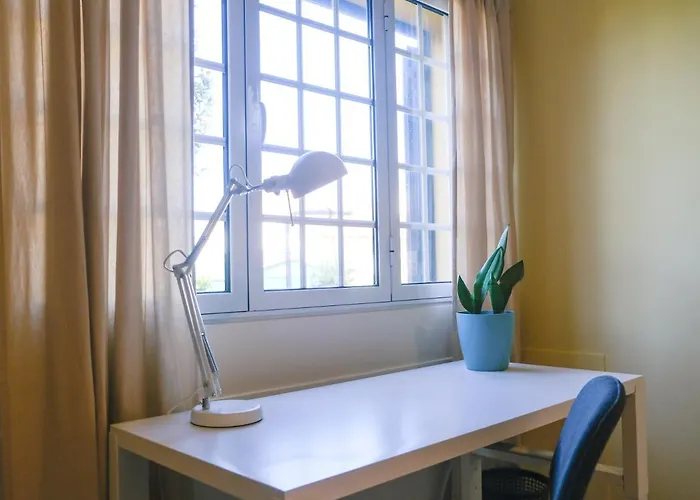 Lava Acores Coliving & Coworking 民宿