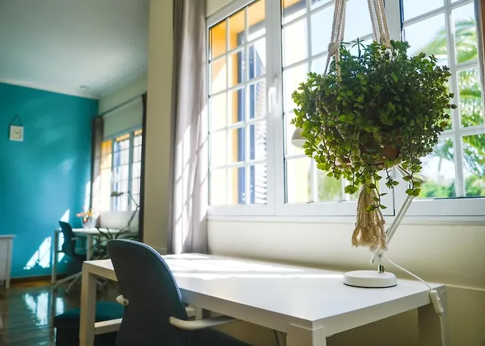 Lava Acores Coliving & Coworking 民宿 大里贝拉