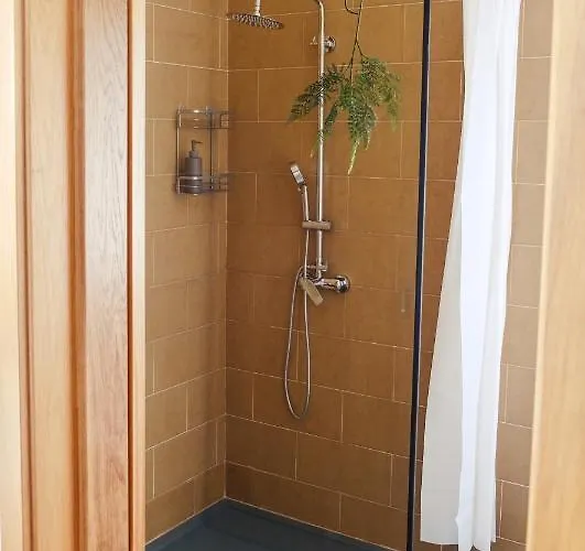 民宿 Lava Acores Coliving & Coworking