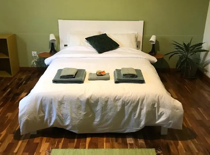 Lava Acores Coliving & Coworking * 大里贝拉