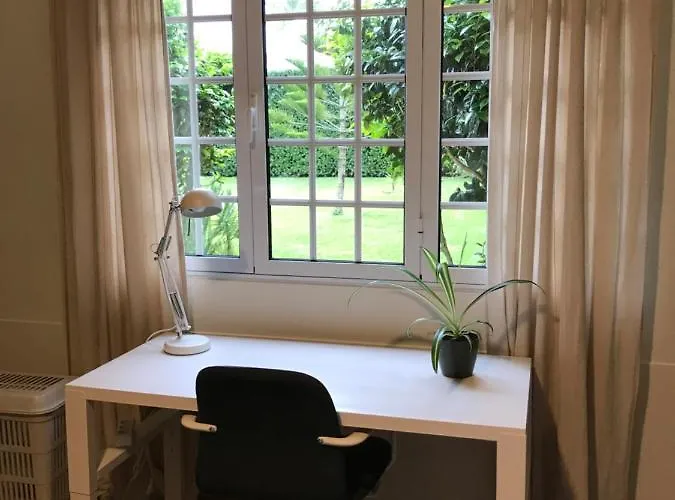 Lava Acores Coliving & Coworking 民宿