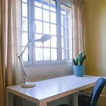 Lava Acores Coliving Homestay