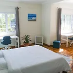 Lava Acores Coliving Homestay Ribeira Grande