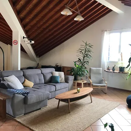 Lava Acores Coliving
