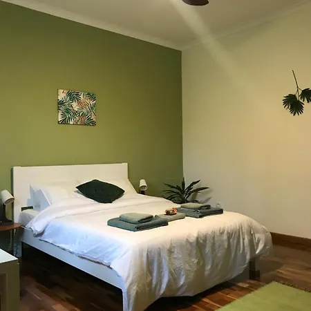 Lava Acores Coliving Ribeira Grande