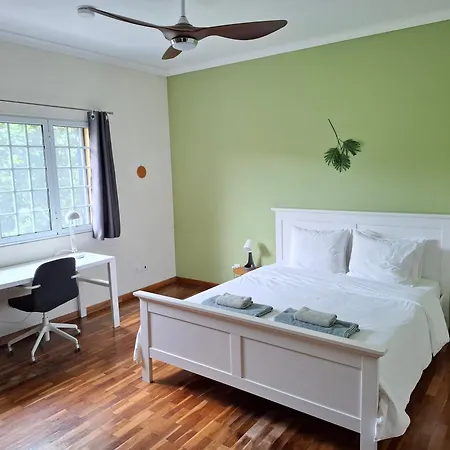 Lava Acores Coliving *