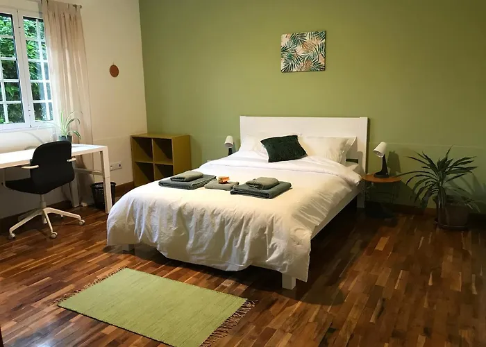 民宿 Lava Acores Coliving & Coworking *